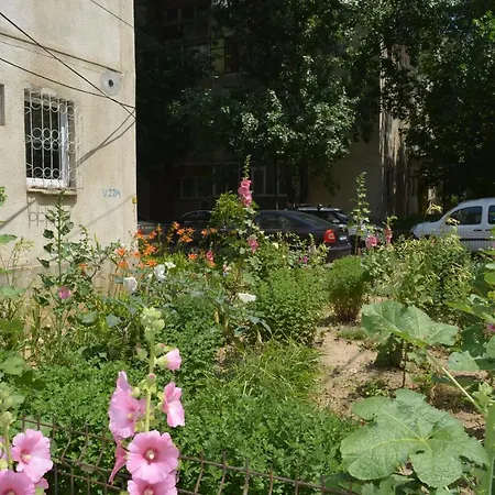 Agatha 26 * Bucharest