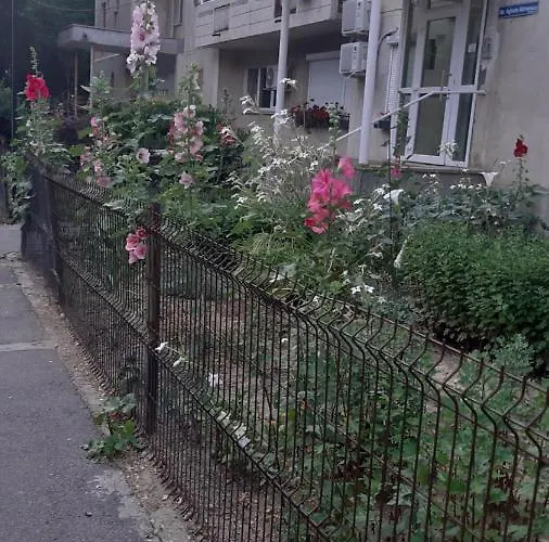 Agatha 26 * Бухарест